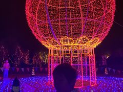 -北京鹿世界主题园