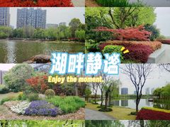 -南翔镇银翔湖公园