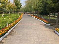 -永定河休闲森林公园