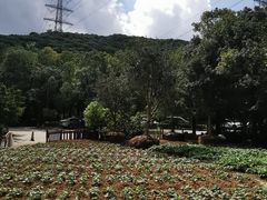 -庆丰农庄·团建·农家菜(大浪店)