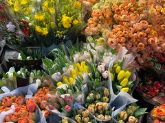 -循礼门鲜花花市(武汉循礼门店)