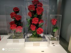 -ROSEONLY诺誓(广州K11店)