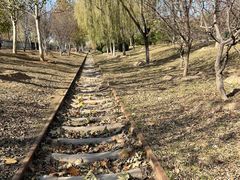 -永定河休闲森林公园