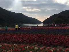 -广州市石门国家森林公园