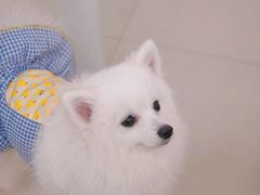 -怪兽屋·羊驼·猫咖·狗咖(俊华广场店)