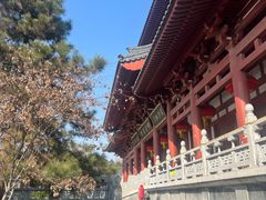 -清凉寺