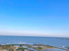 -渡海小渔村.老辈日照菜
