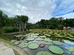 -中国科学院西双版纳热带植物园