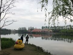 -上海长兴岛郊野公园