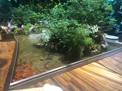 -森味薪火烧•烧鸟居酒屋•日本料理(望京店)
