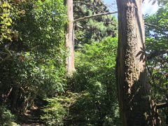 -东天目山风景区