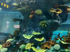 -福州罗源湾海洋世界旅游区