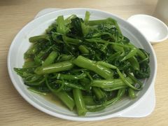 -广达眼镜炖罐(广达店)