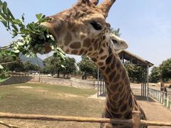 -西安秦岭野生动物园