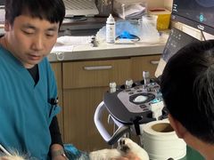 -美联众合爱康动物医院•复杂内科•肿瘤科•牙科•腔镜诊疗中心