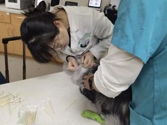 -联合动物医院(光谷诊疗中心)