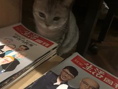 -隅cafe(傅厚岗店)