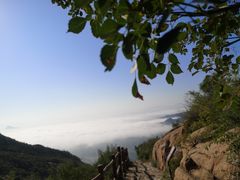 -黄金寨原生态旅游区