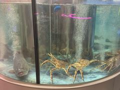 -海底捞大排档火锅(打浦路店)