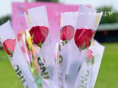 -侯臣咖啡文化村