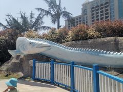 -碧海银沙景区