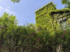 -得丘礼享谷·玉兰苑