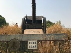 -上海吴淞炮台湾国家湿地公园