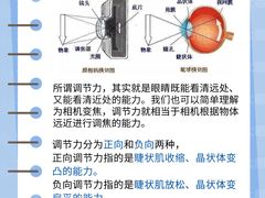 -大视家眼镜(园区星海店)