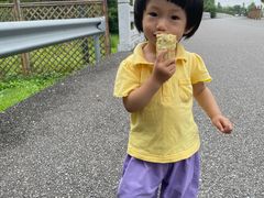 -嘉北郊野公园