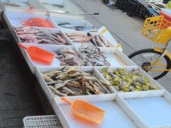 -果乐多生鲜超市(真理道店)