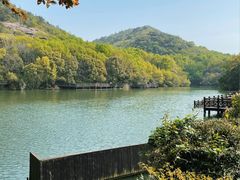 -白马涧龙池景区