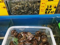 -渔民船说·北塘海鲜·天津菜·海肠捞饭(北塘古镇店)