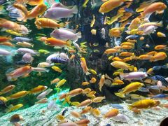 -太平洋海底世界