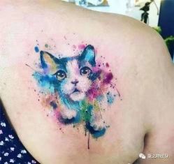 -龙之吻专业刺青·手工耳洞·纹身去色