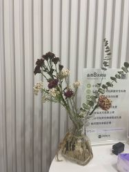 -莫纳瑜伽·普拉提