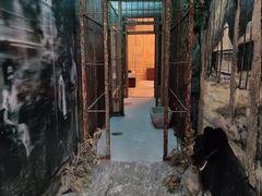 -北京动物园-畅观楼