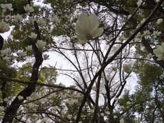 -汇龙潭