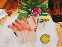 -鸟鹏烧鸟居酒屋(熙龙湾店)