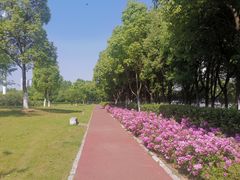 -滨湖塘西河公园