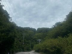 -天女山森林公园