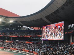 -南京奥林匹克体育中心-体育馆