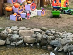 -HERRE·FARM 赫尔露营农场·团建聚会包场