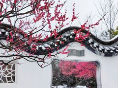 -梅花山(明孝陵内)