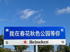 -春花秋色城市公园