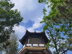 -莲花池公园