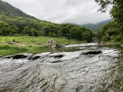 -广州市石门国家森林公园