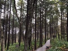 -白草畔自然风景区