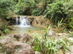 -南海湾森林生态园