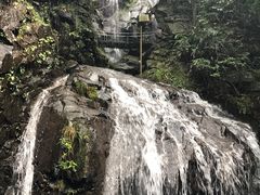 -藏龙百瀑风景区