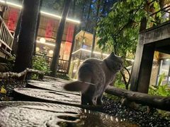 -林间山庄